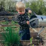 Gardening tips for beginners child gardening