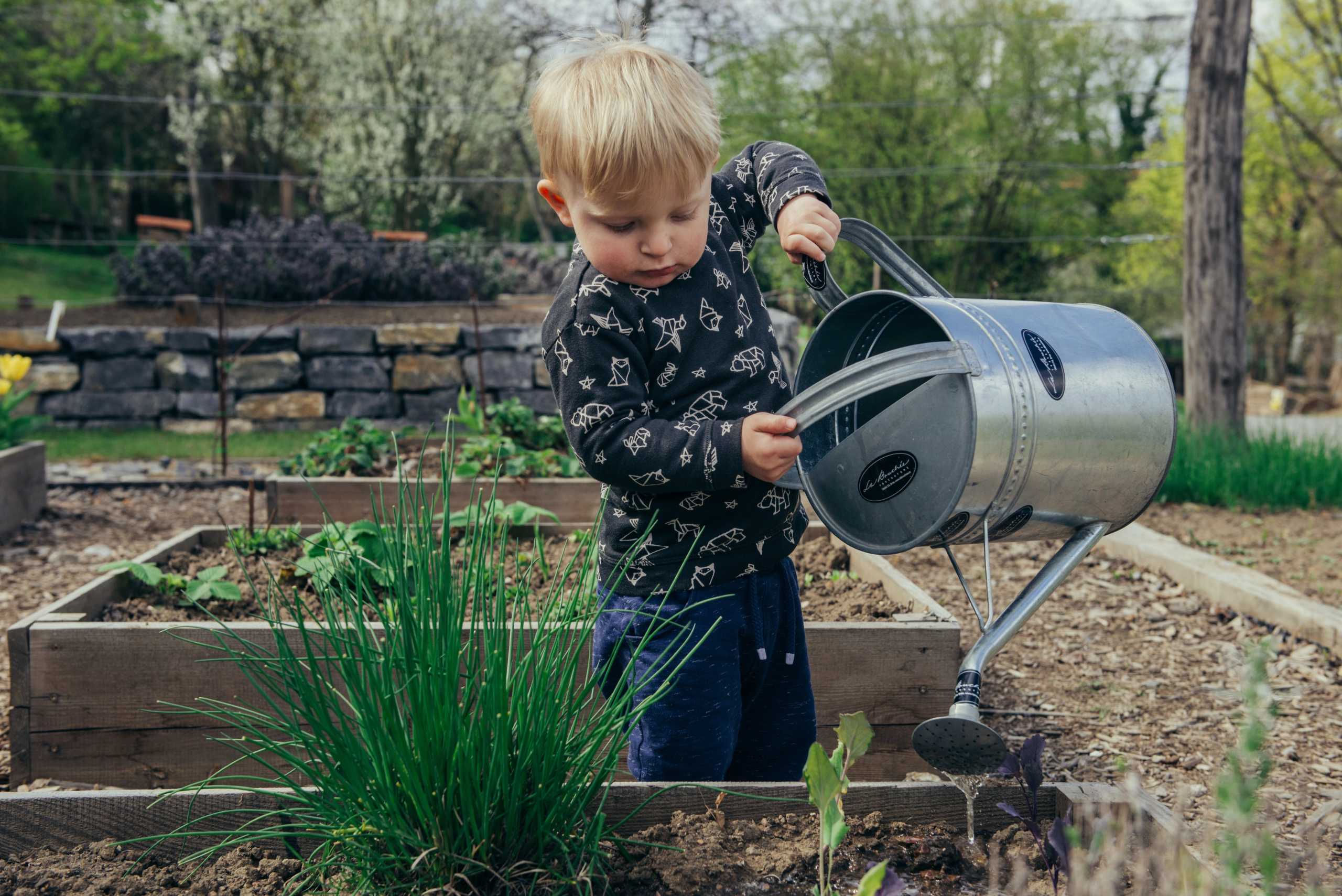 Gardening tips for beginners child gardening