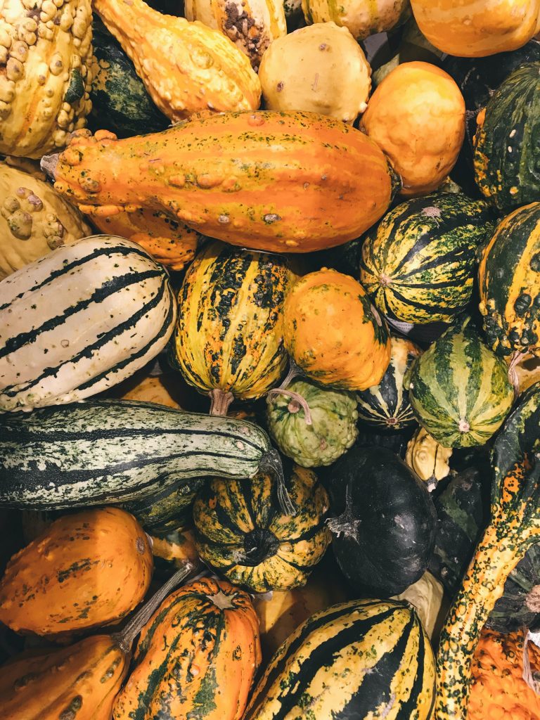what is a vegetable - squash