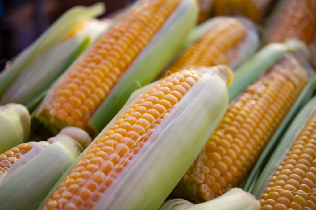 what is a vegetable - corn