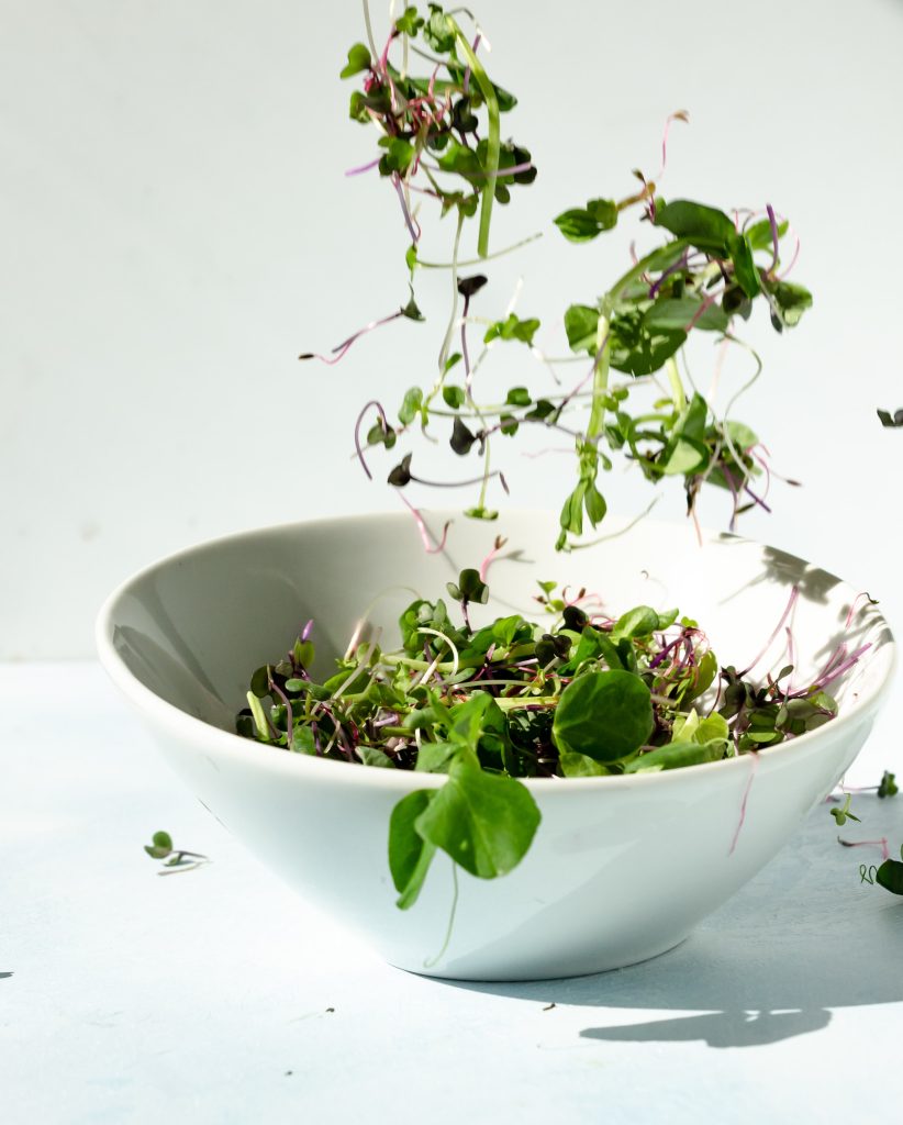 Bowl of assorted, colorful microgreens with various textures, representing a fresh and nutritious addition to a healthy diet