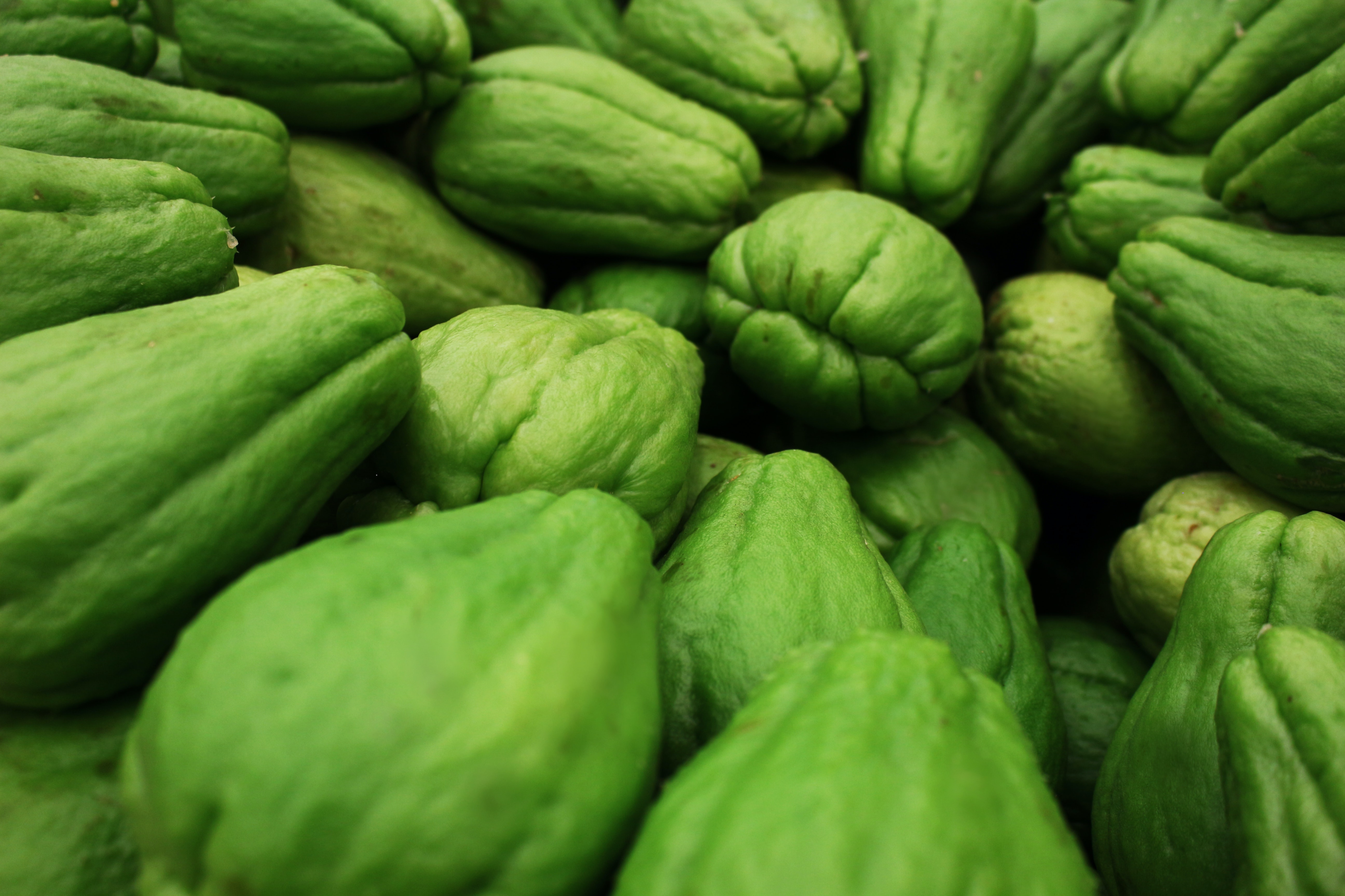 An assortment of fresh chayote, showcasing the unique vegetable in abundance and ready for various culinary uses